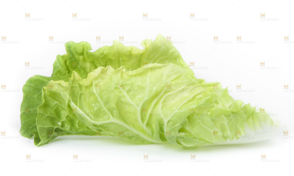 白底上放着大白菜