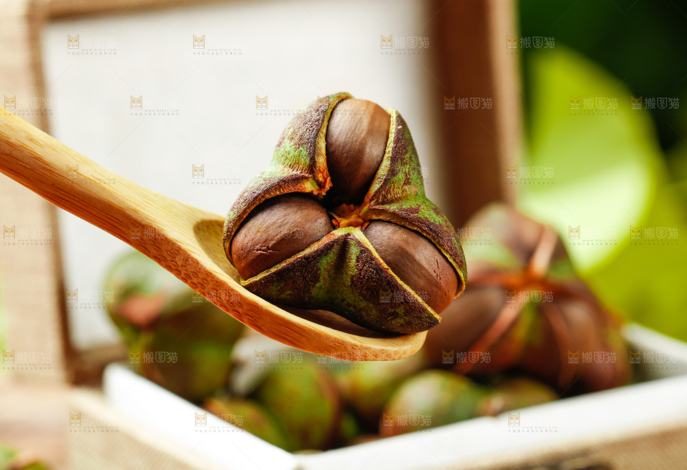 深底上的茶树果