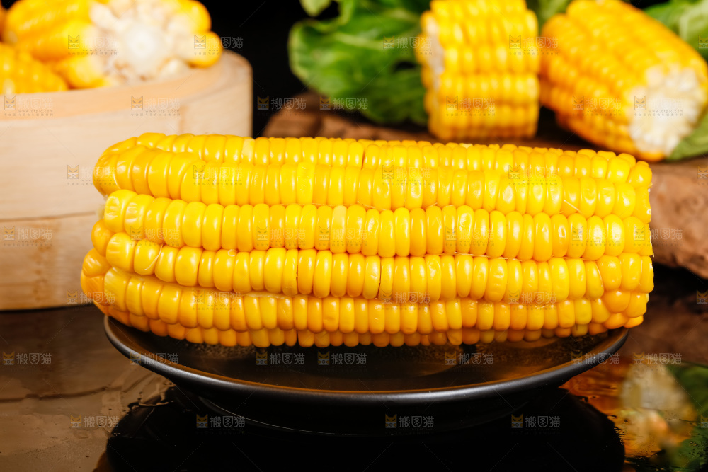 深底上的东北玉米