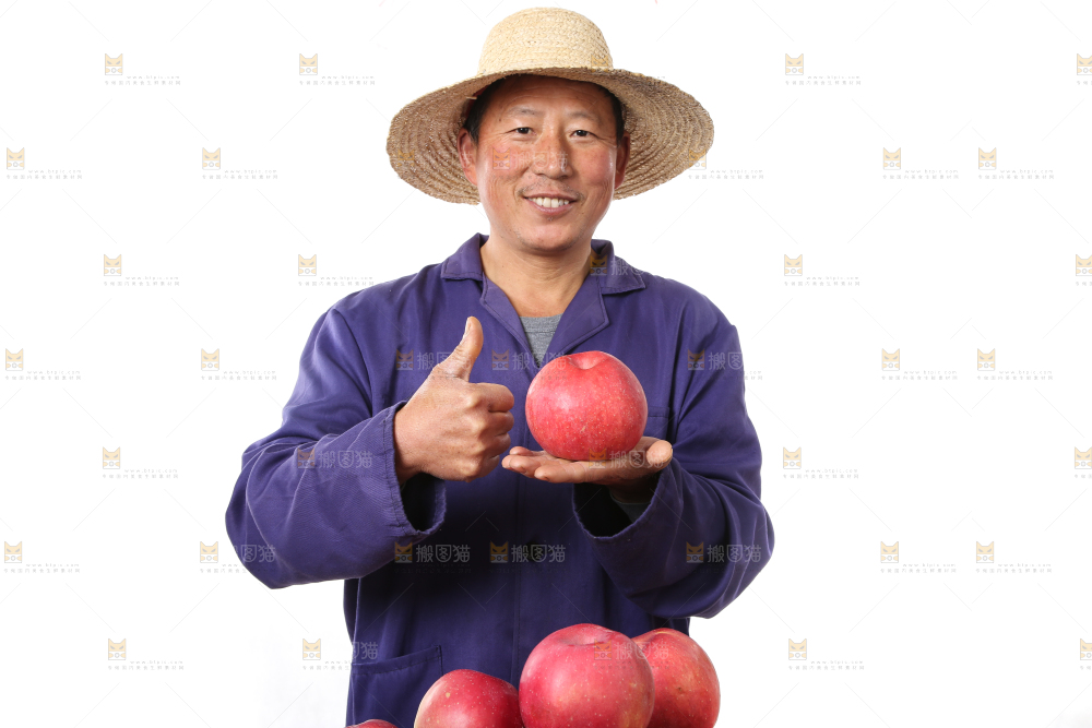 红富士苹果-人物