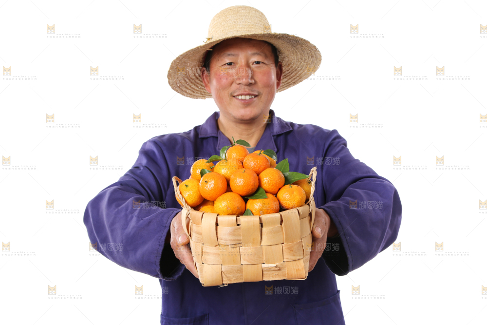 农民手里捧着广西砂糖橘