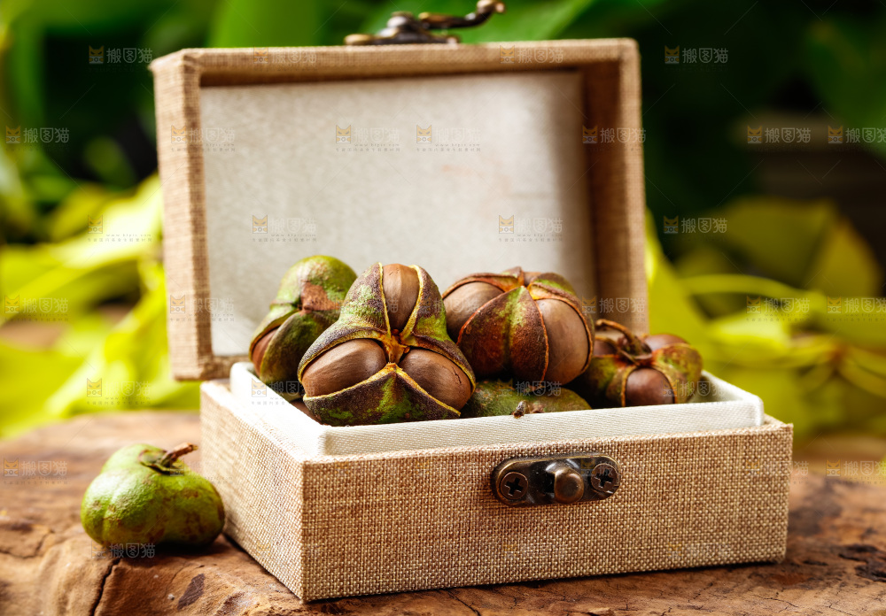 深底上的茶树果