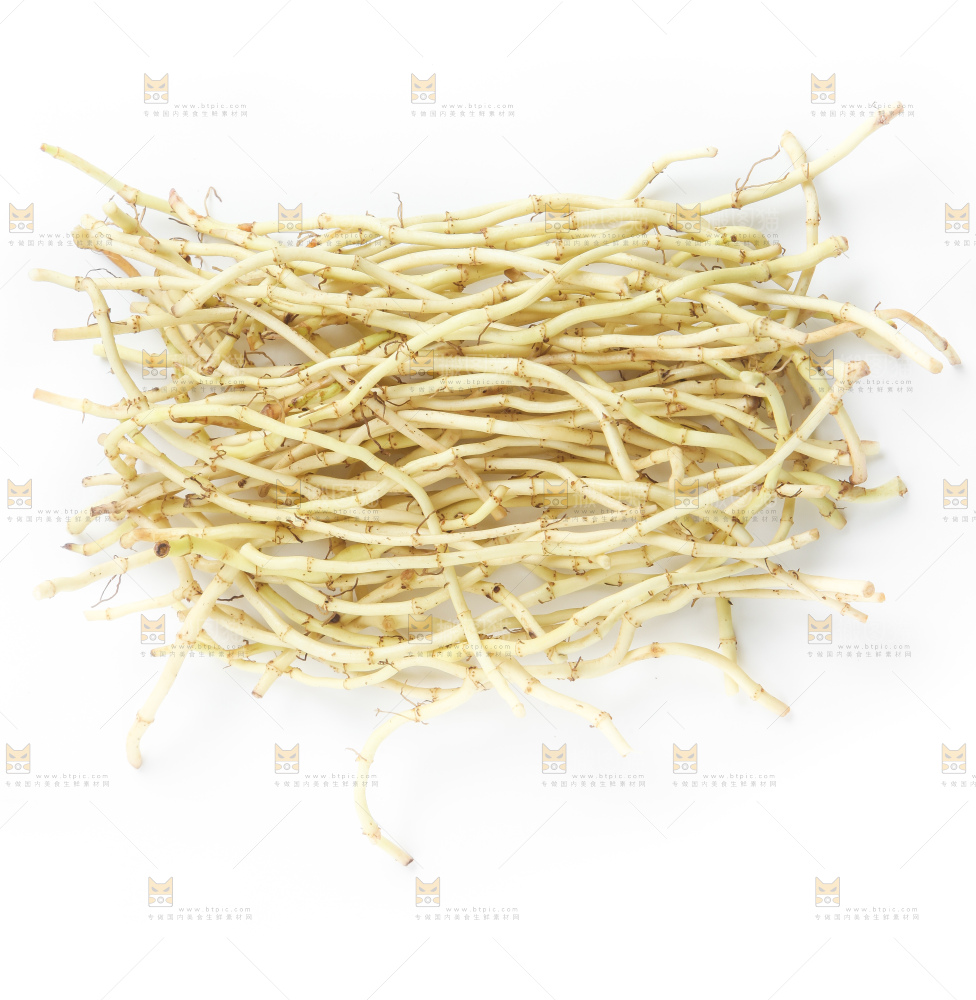 白底上的鱼腥草