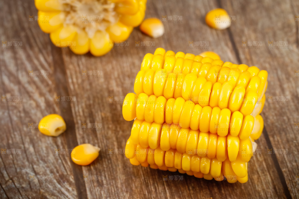 深底上的东北玉米