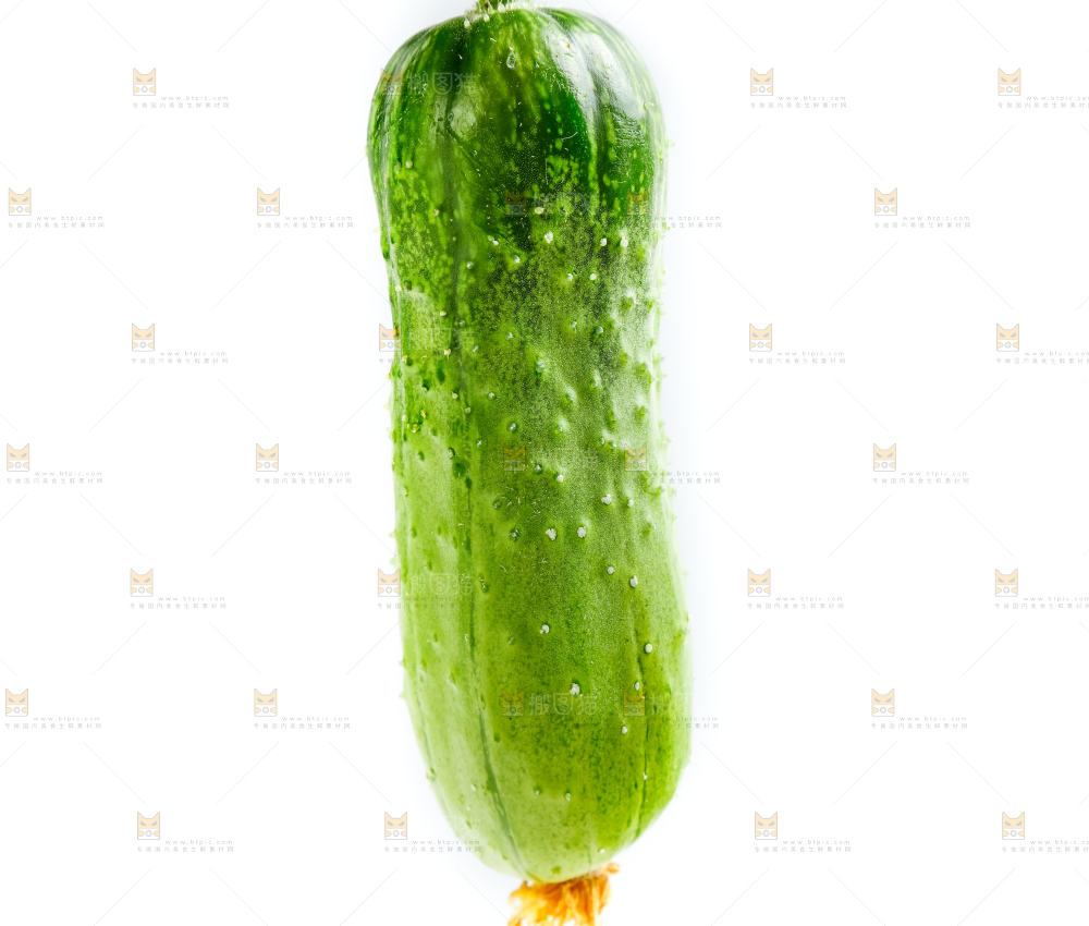 白底上的小黄瓜