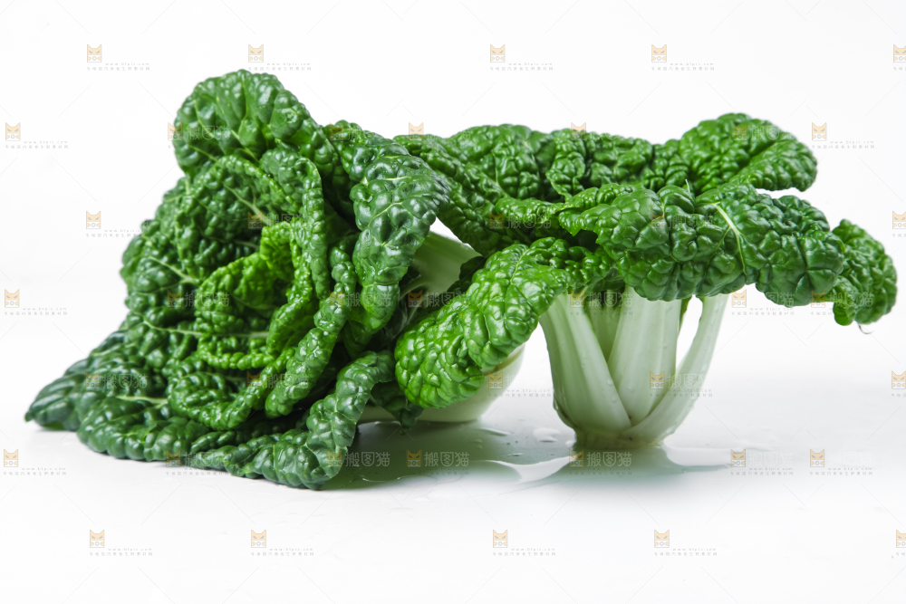 白底上放着奶油小白菜
