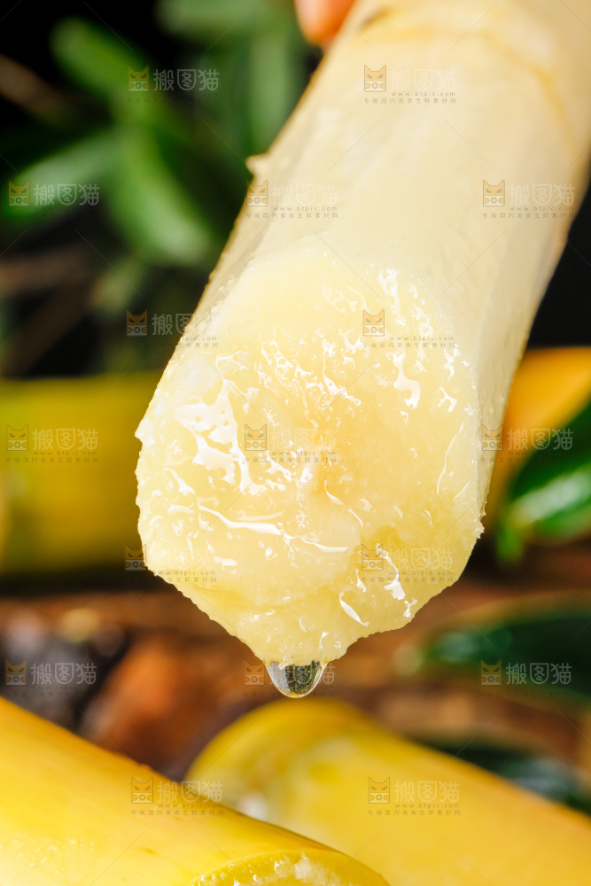 手里拿着新鲜甘蔗