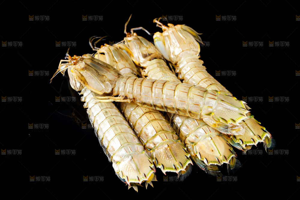 黑底上摆放着舟山皮皮虾