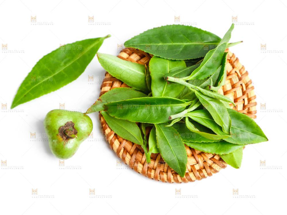 白底上放着绿茶叶