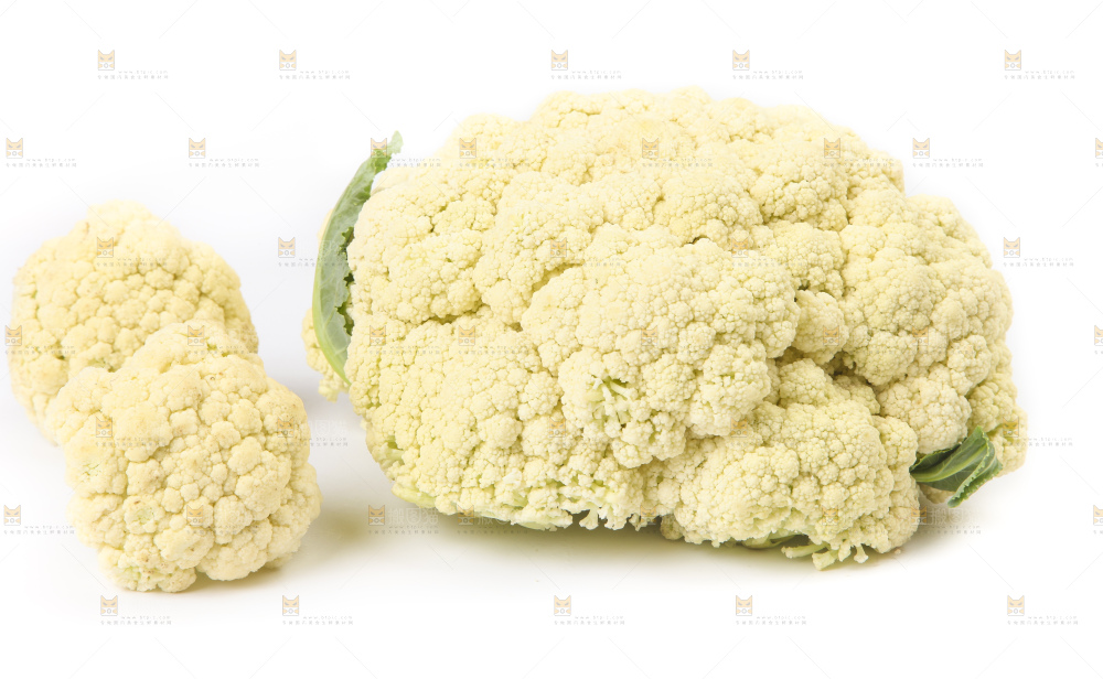 白底上的花菜