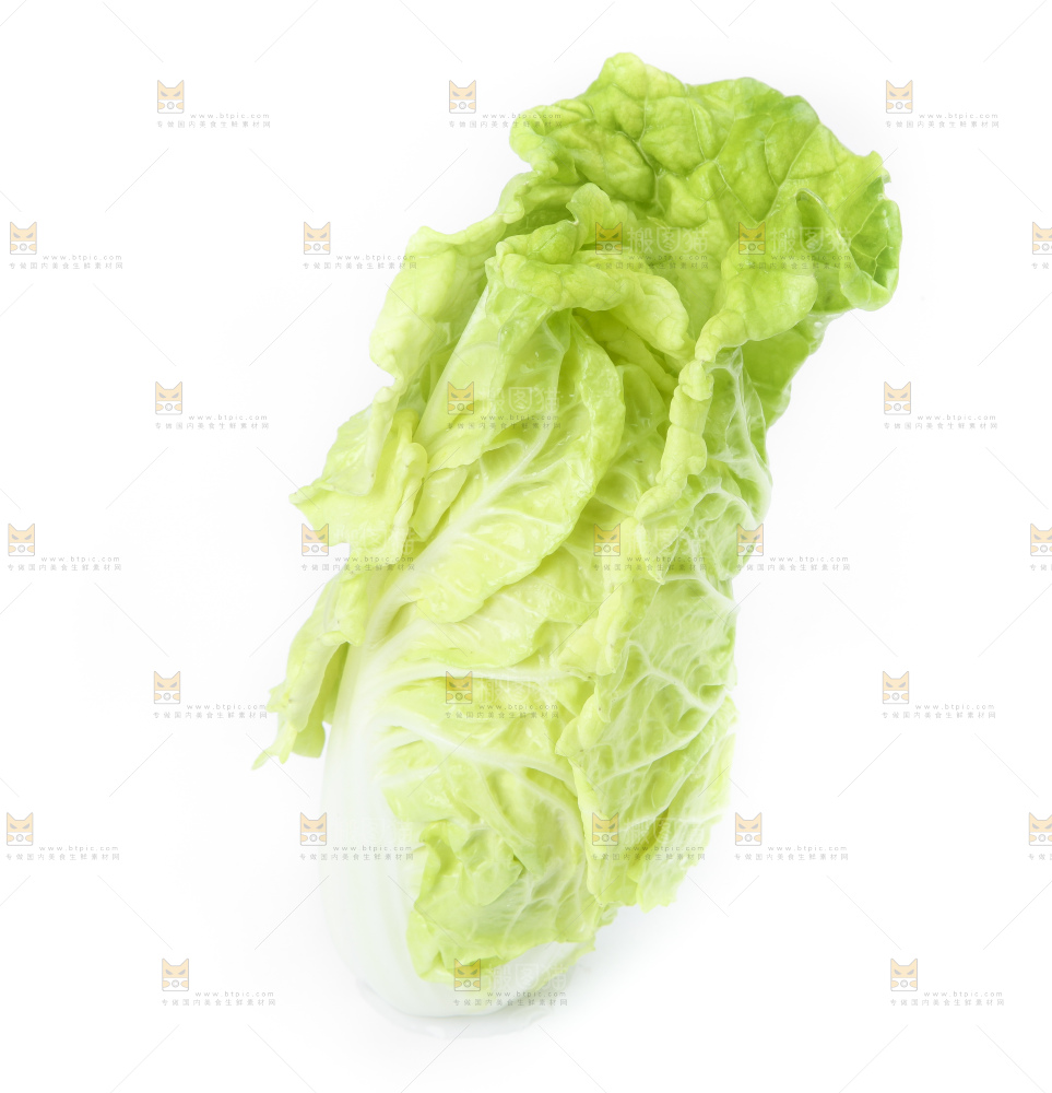 白底上放着大白菜