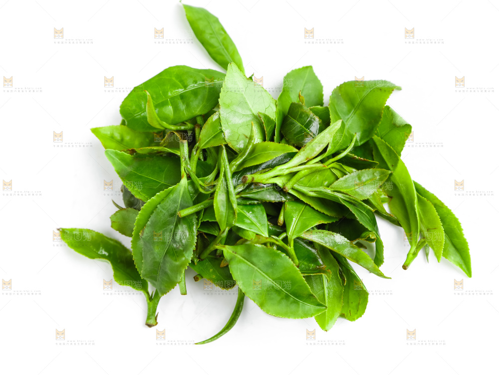 白底上放着绿茶叶