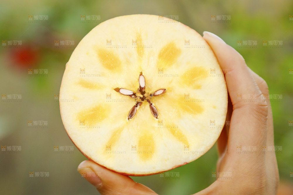 手里拿着新疆冰糖心苹果