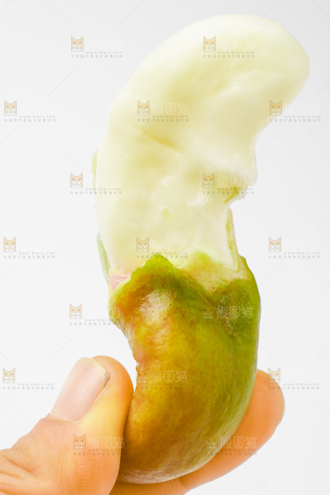 白底上放着洪湖菱角