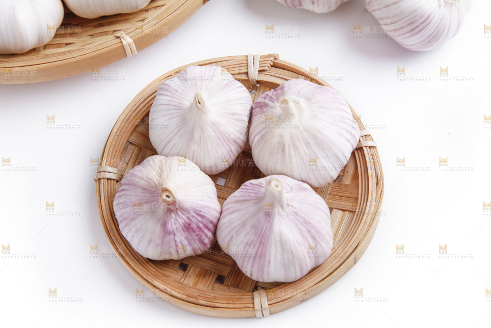 白底上的山东大蒜头