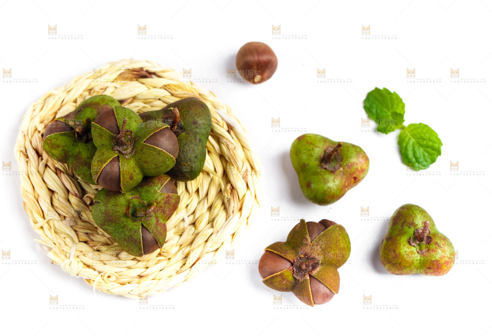 白底上摆放着茶树果