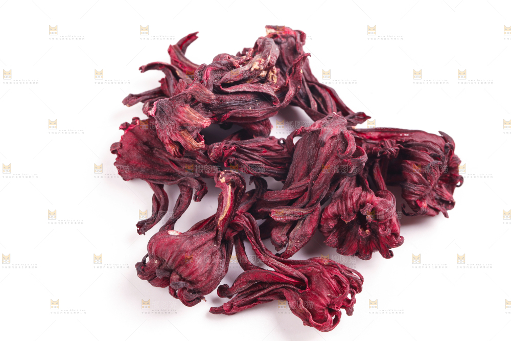 白底上的玫瑰茄
