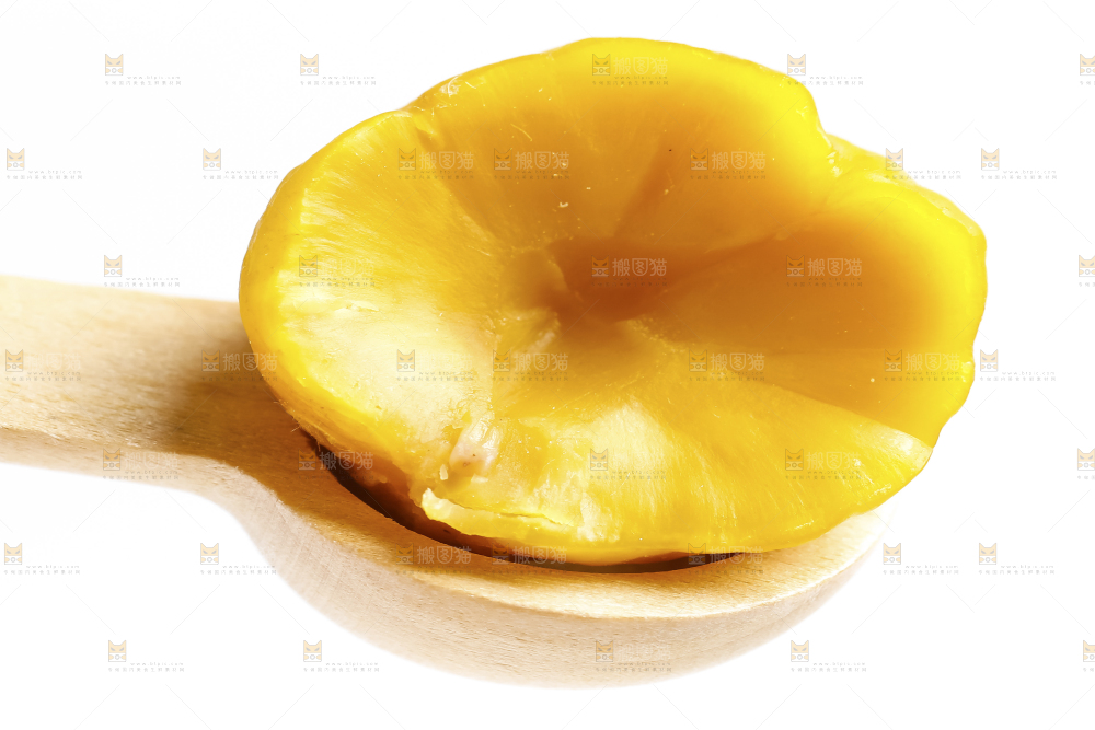 白底上放着毛栗子