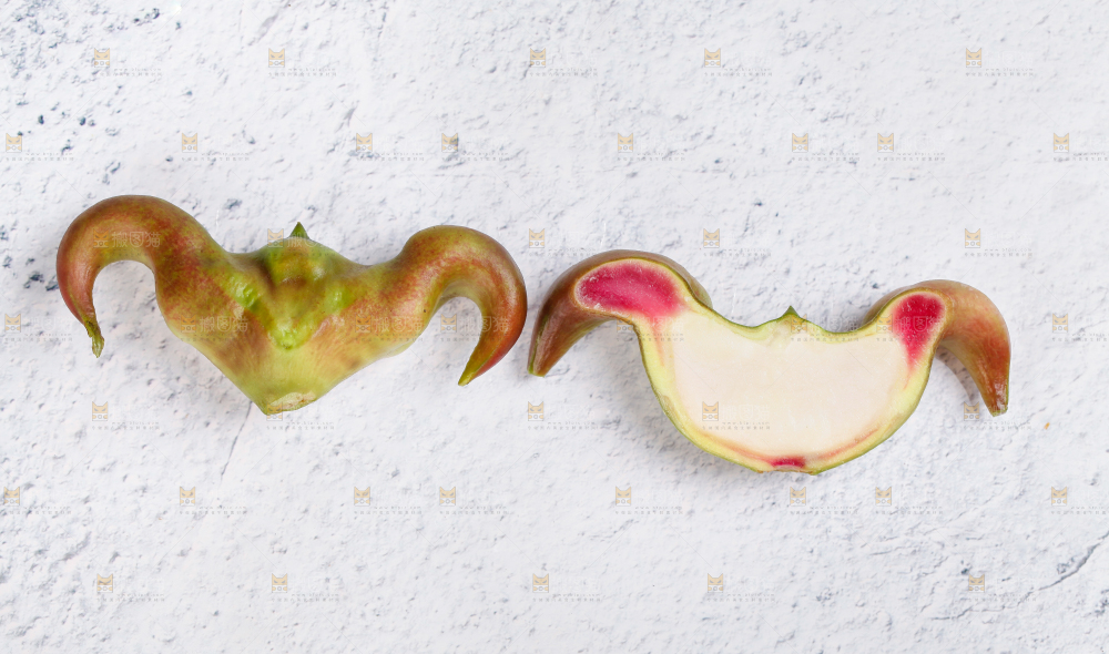 白底上摆放着新鲜菱角