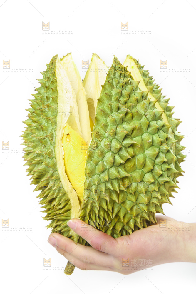 白底上放着泰国金枕榴莲