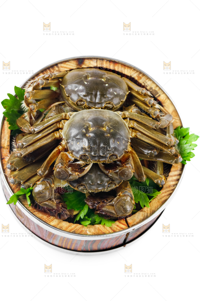 蒸笼里放着阳澄湖大闸蟹