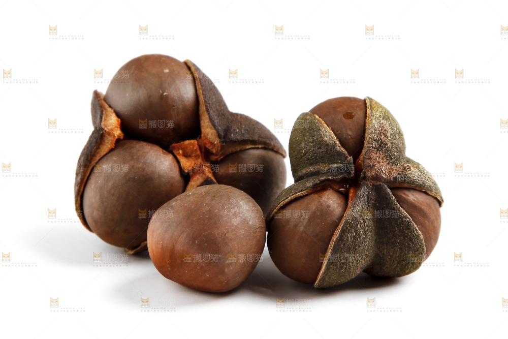 白底上的茶树果