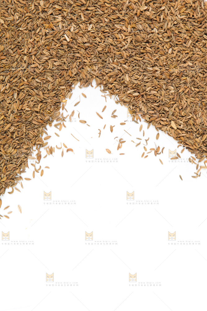 白底上一堆小茴香