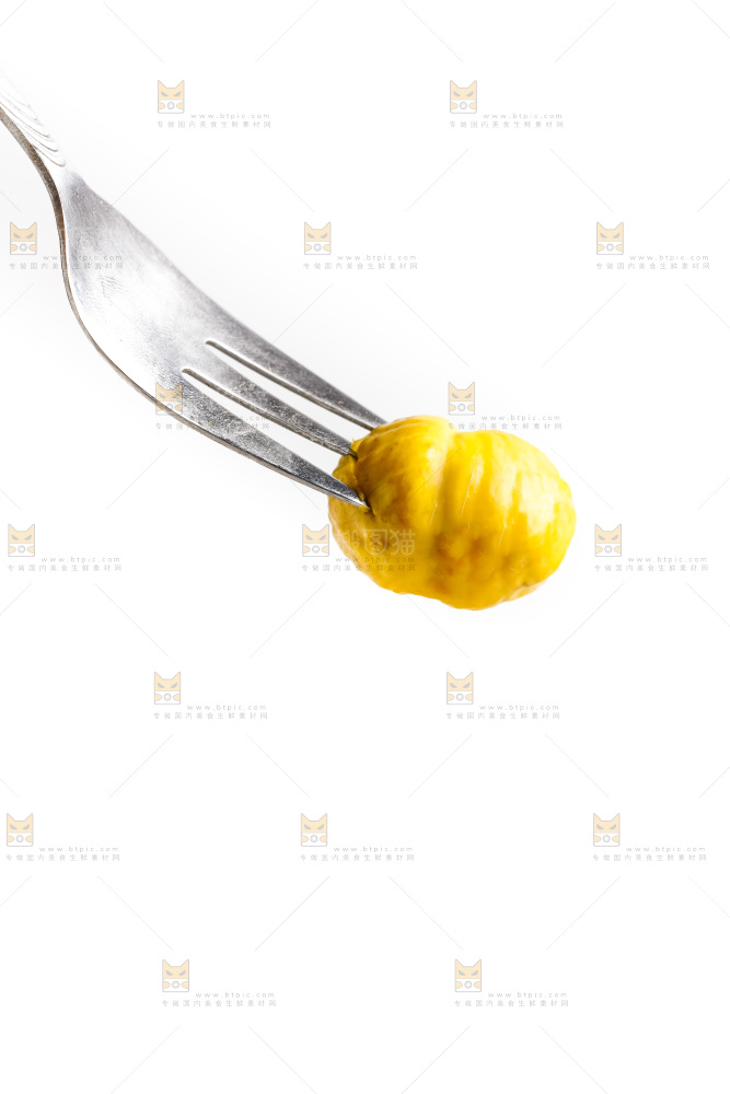 白底上的生板栗
