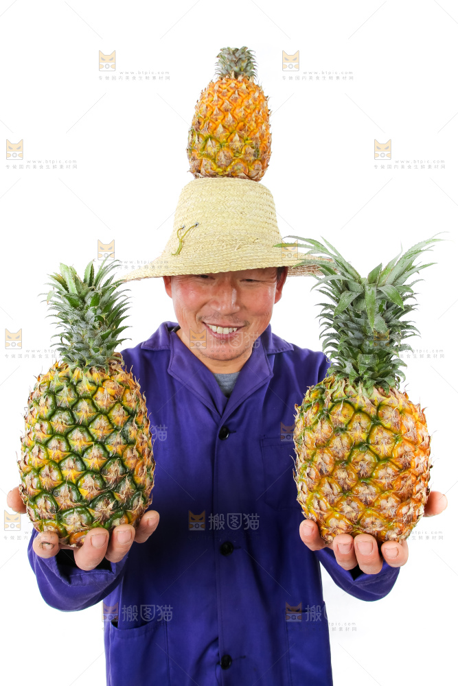 农民手里拿着香水菠萝