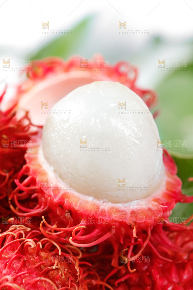 白底上放着红毛丹