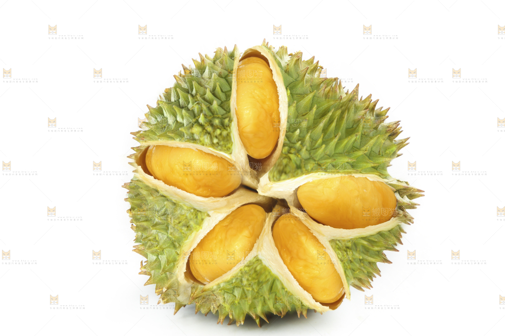 白底上放着泰国金枕榴莲