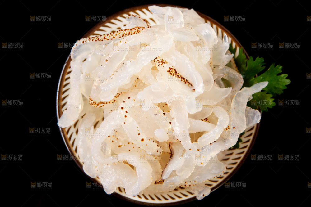 黑底上的珊瑚海蜇