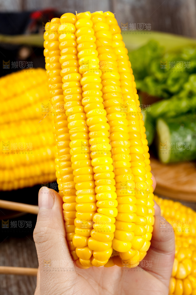 深底上的东北玉米