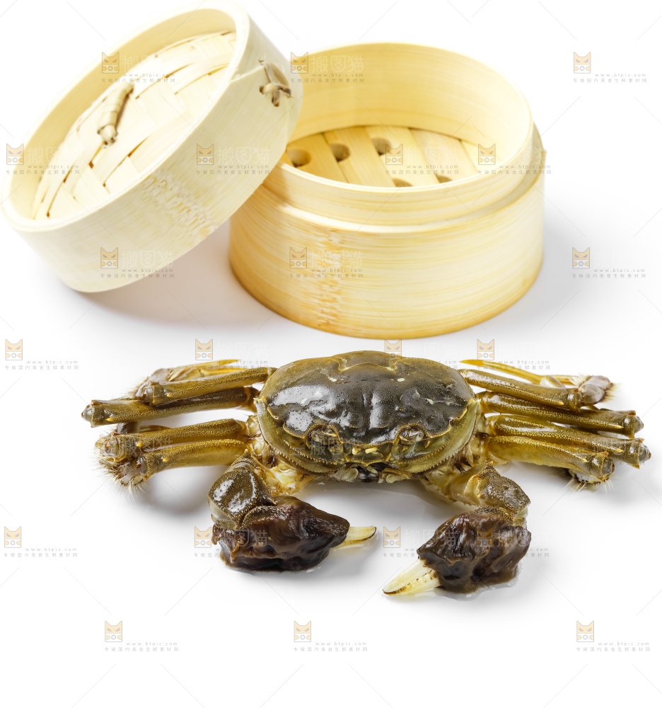 浅底上的鲜活螃蟹