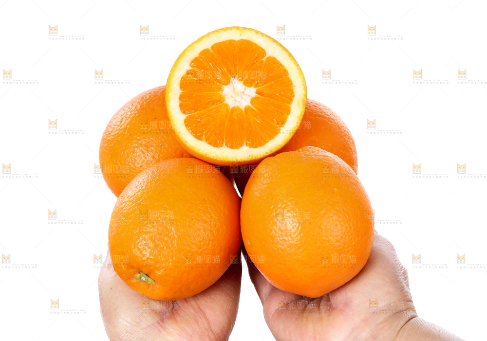 手里拿着长虹脐橙