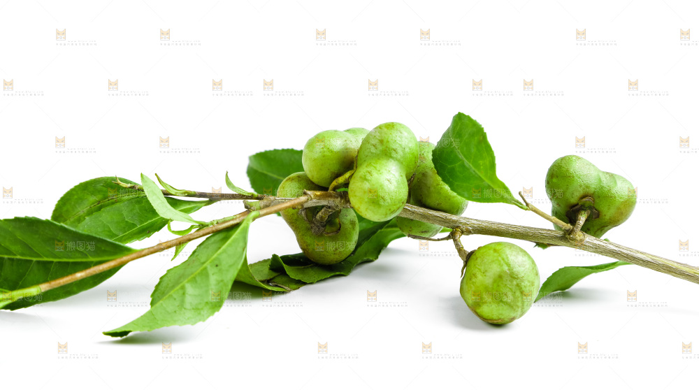 白底上摆放着茶叶子