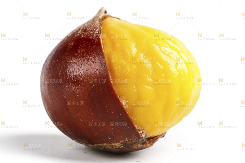 白底上的生板栗