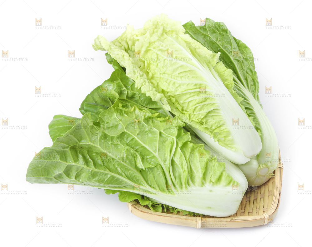 篮子里装着白菜