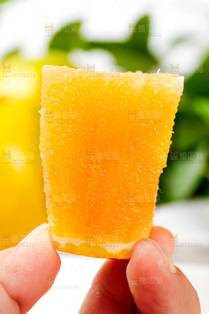 手里拿着新鲜褚橙