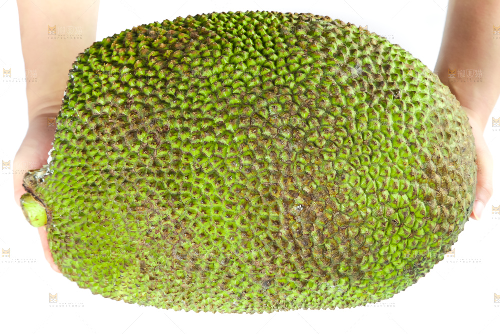 手里抱着新鲜菠萝蜜