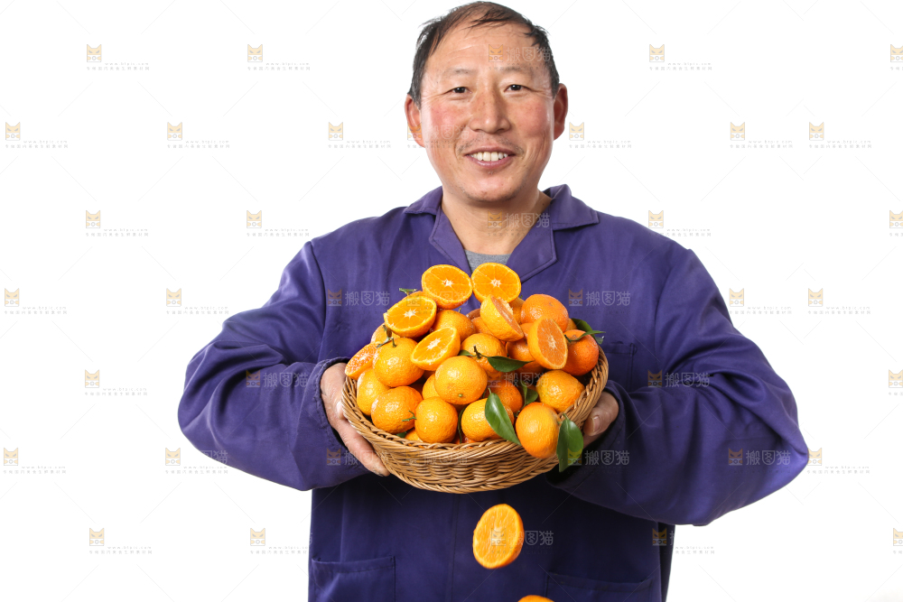 农民手里捧着广西砂糖橘