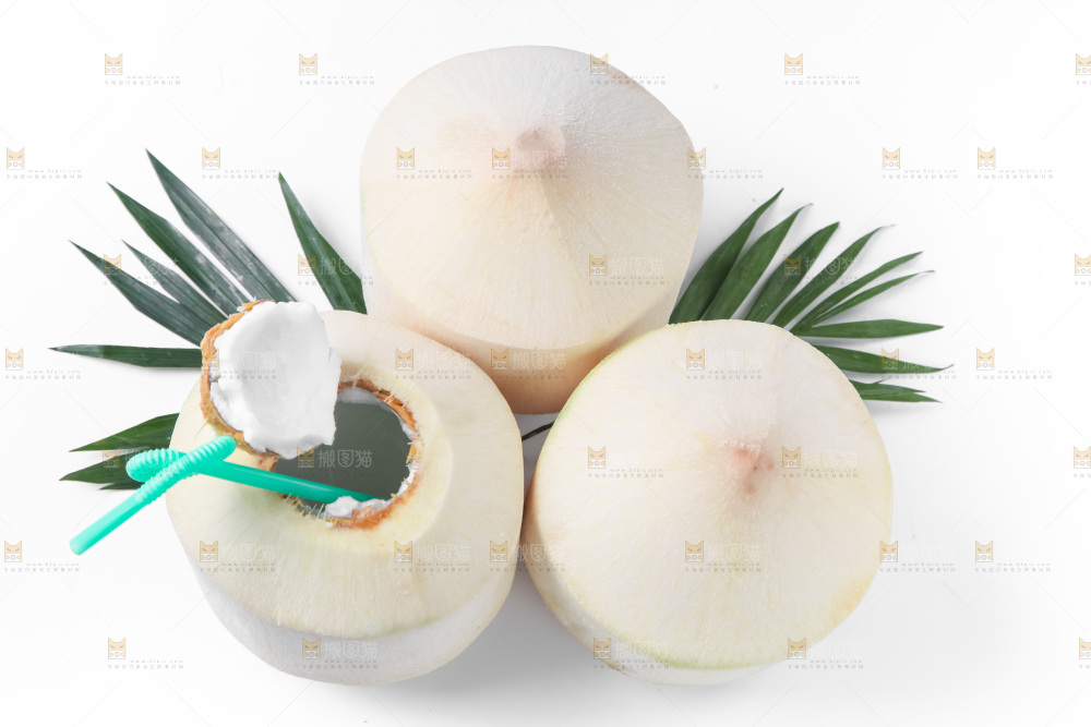 白底上青椰子