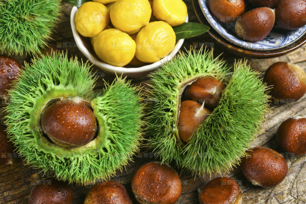 板栗