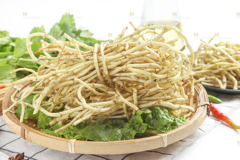 篮子里装着鱼腥草