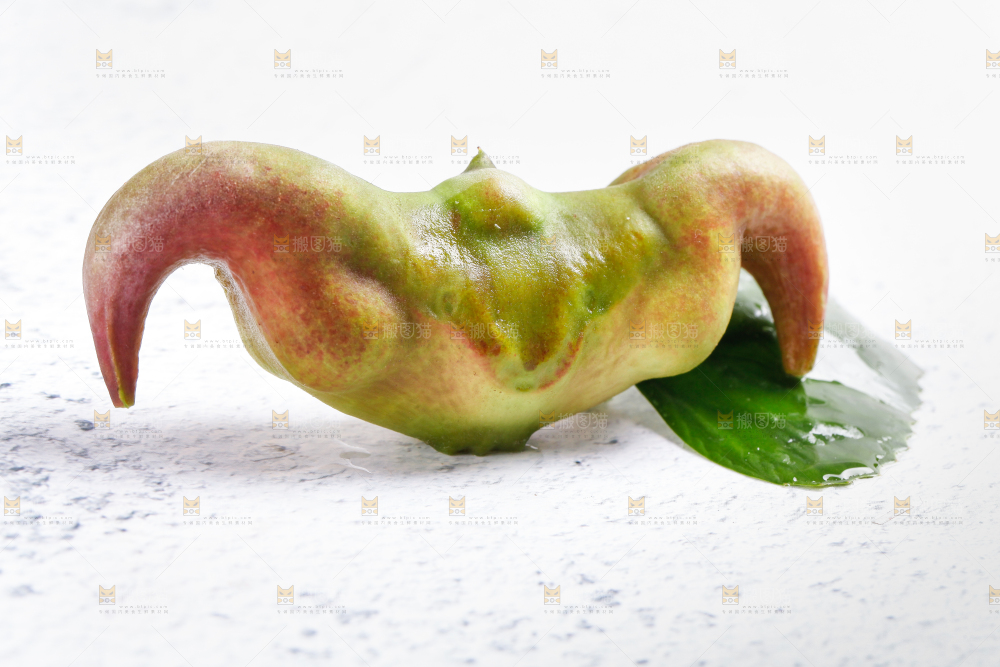 白底上的菱角
