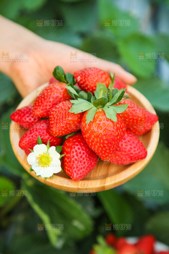 篮子里装着牛奶草莓