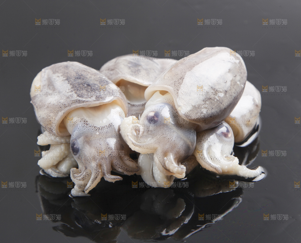 黑底上放着乌贼鱼