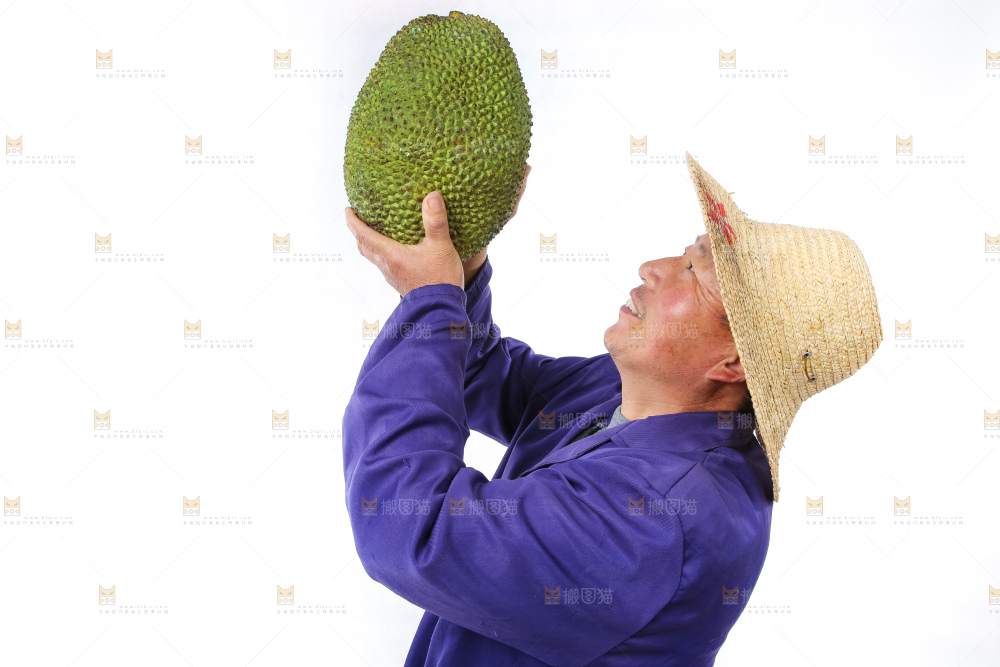 农民手里拿着菠萝蜜