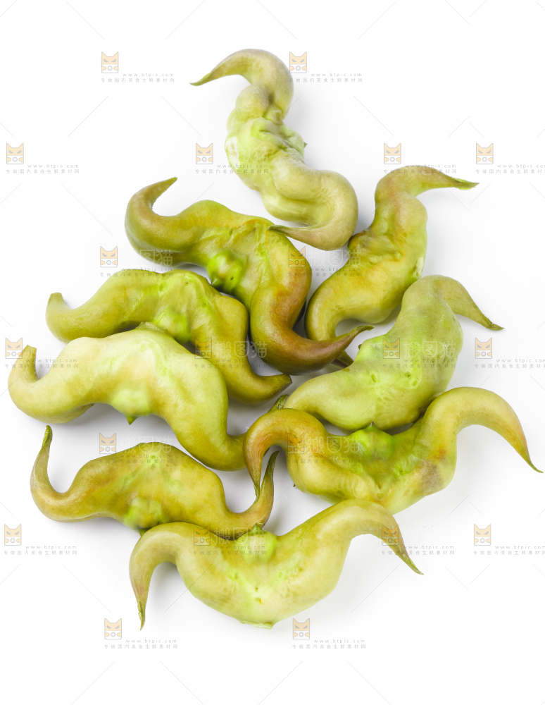 浅底上的新鲜菱角
