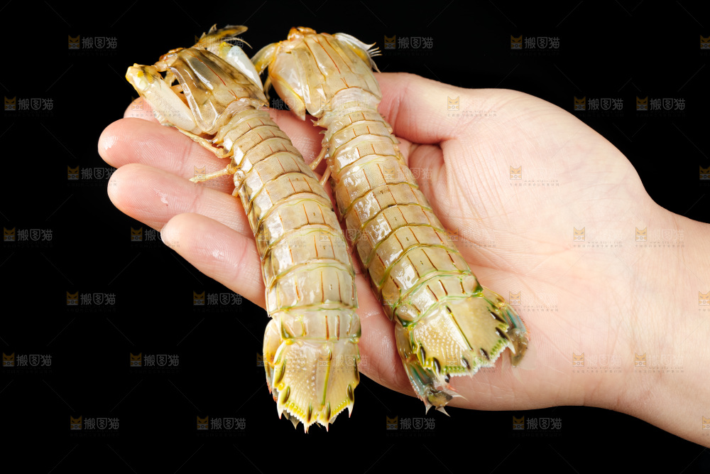 手里拿着生鲜皮皮虾